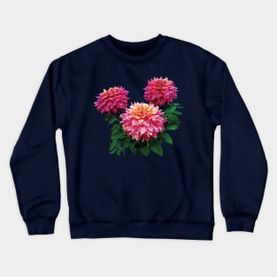 Dahlias - Pink Dahlias, Kidd's Climax Crewneck Sweatshirt